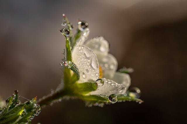 Ingredients that Nourish: ‍Understanding the Science Behind Moisture