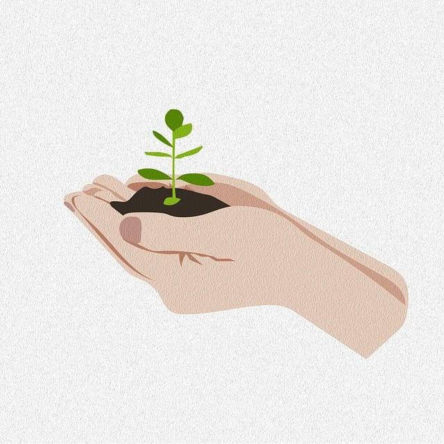 Exploring⁢ the Unique Benefits of Seed Probiotics for Women's ⁢Health