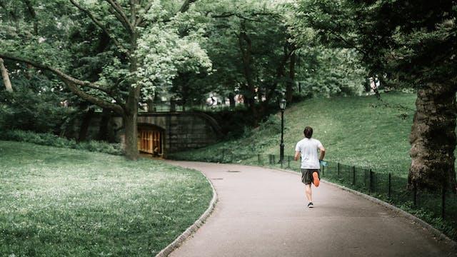Factors‍ Affecting Step Count ⁤precision