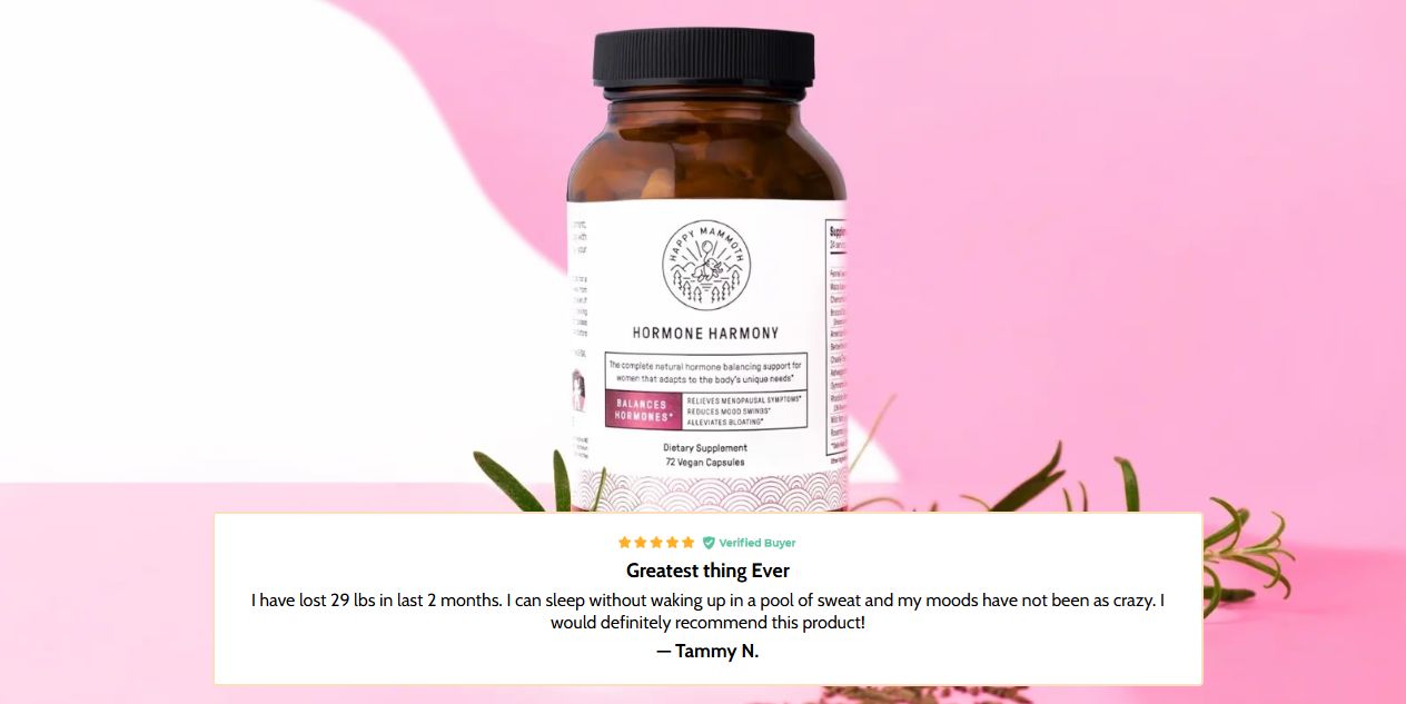 Core principles of the Happy Mammoth holistic wellness method