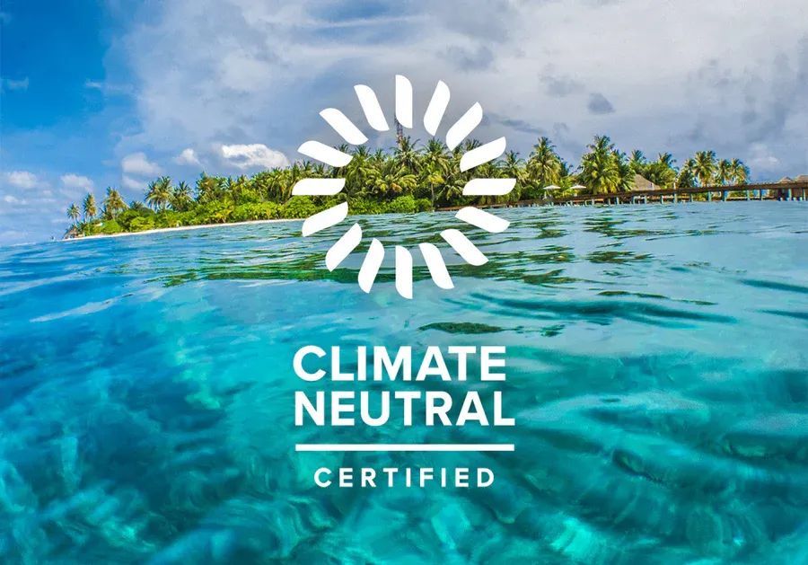 Pela Case future product development