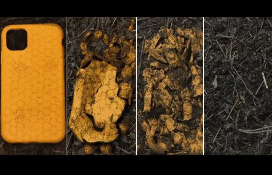 Pela Case biodegradable phone cases collection